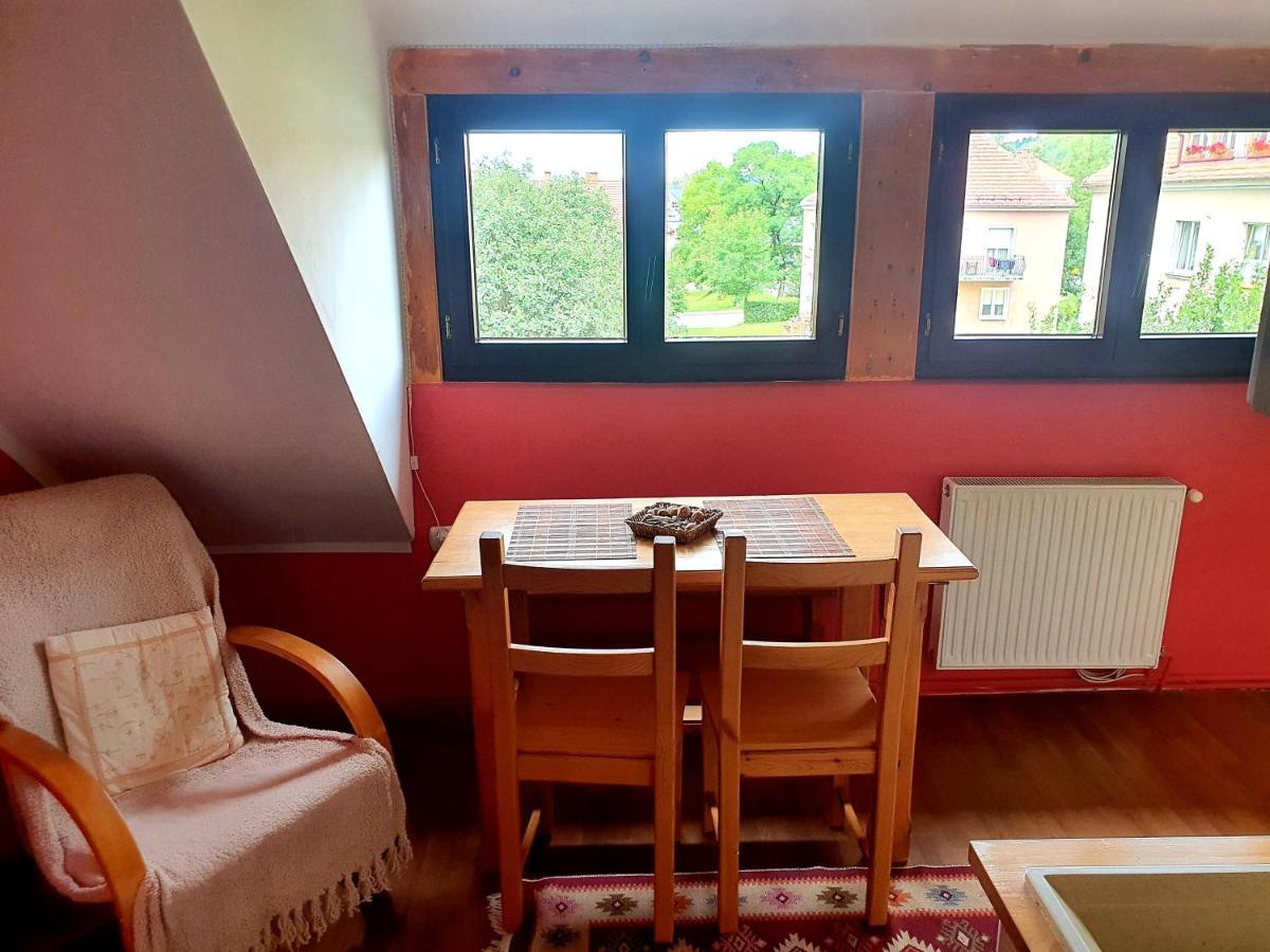 Akacjowa 7 Apartment Stronie Śląskie Екстериор снимка